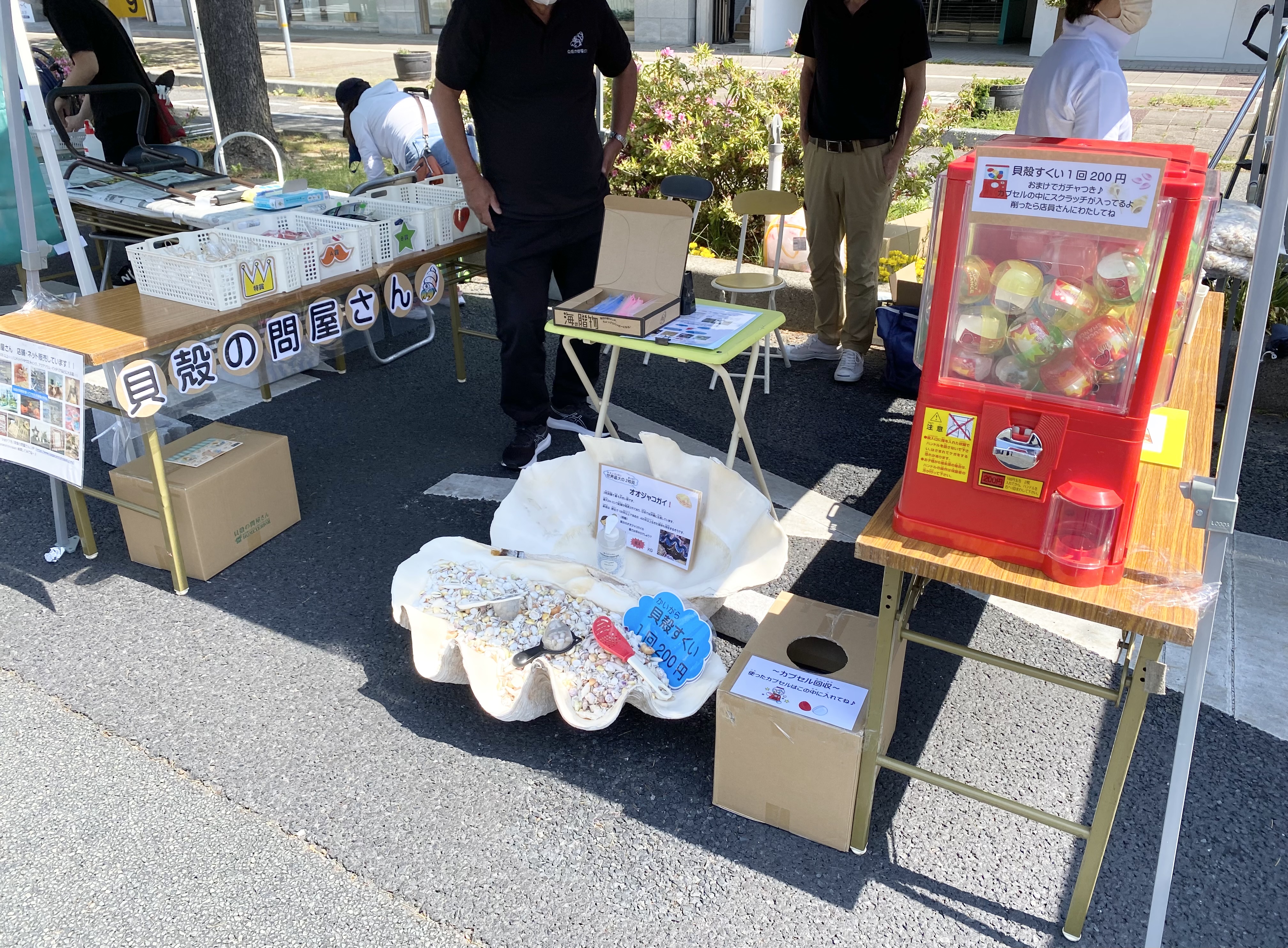 貝殻すくい1