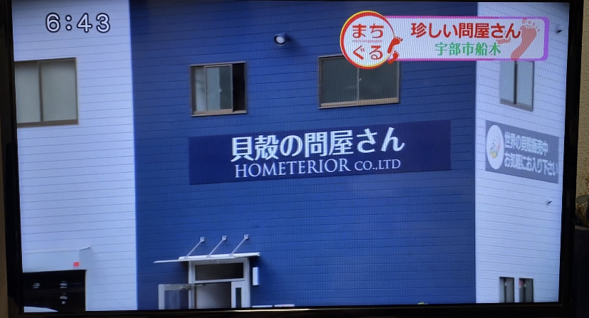 貝殻の問屋さん1