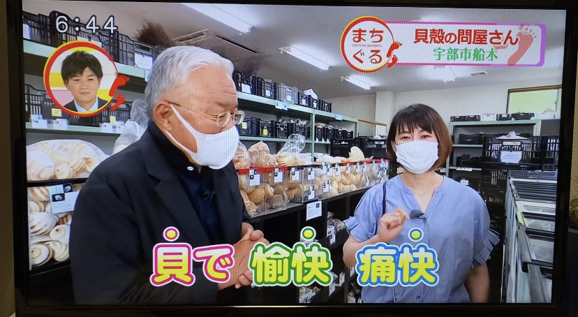 貝殻の問屋さん3