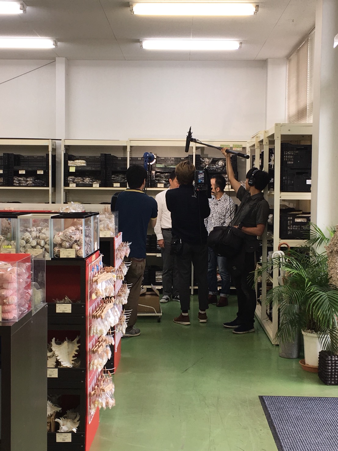 週末ちぐまや家族