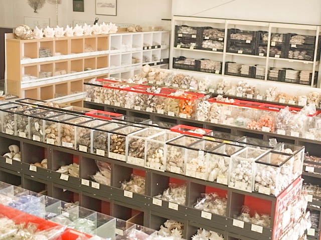 店内の様子