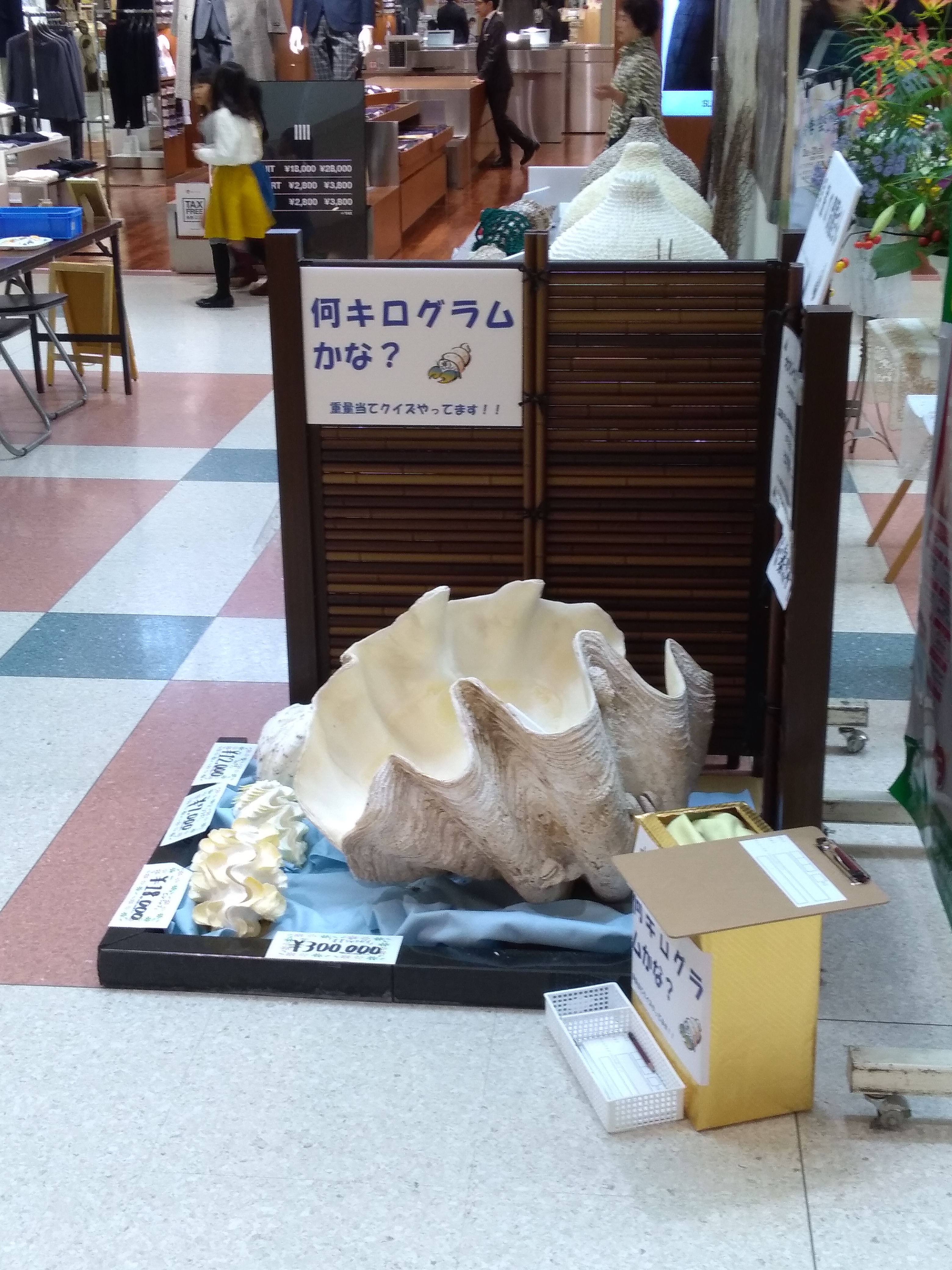 オオシャコガイの重量当てクイズ